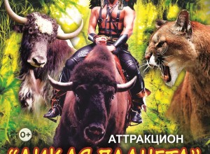 С 8 марта в Луганском государственном цирке встречайте уникальное шоу «Дикая планета», которое перенесёт зрителей в экзотический мир дикой природы.