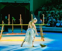 С 8 марта в Луганском государственном цирке встречайте уникальное шоу «Дикая планета», которое перенесёт зрителей в экзотический мир дикой природы.